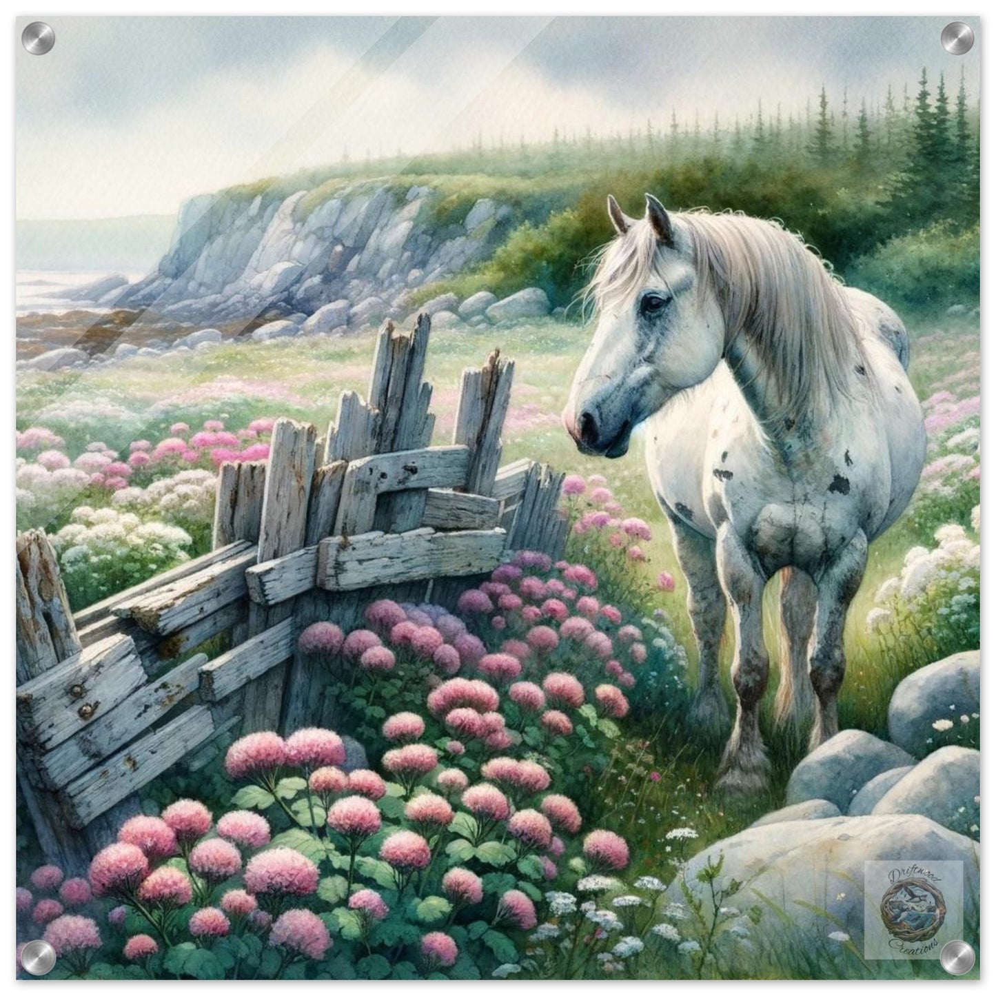 e0a343d4-bee6-4639-adb4-cfe73825f5bc