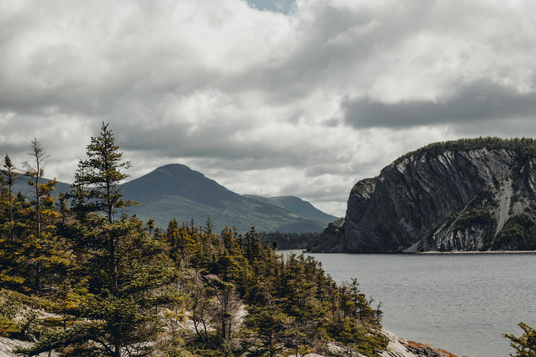 Coming Home to Newfoundland Even When You're Miles Away