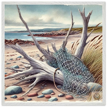 Net Snagged Shore