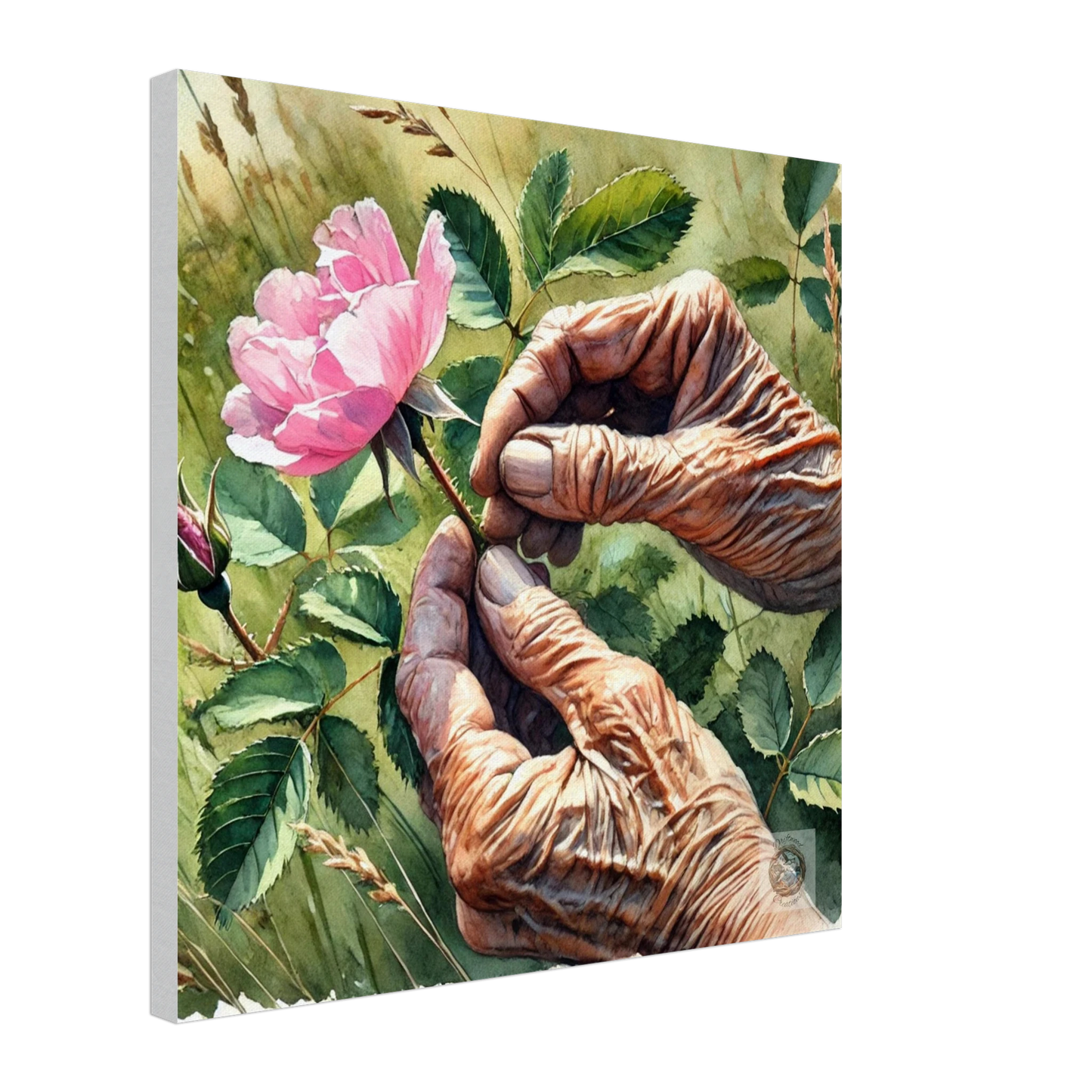 4fc2a856-ee64-4ef0-a32f-b4e43d286f4c