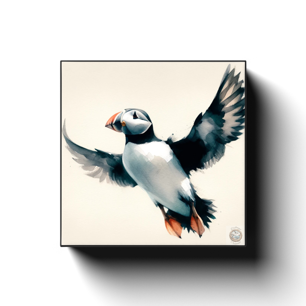 Solo Flight: Puffin's Poise in the Wind Canvas Wrap